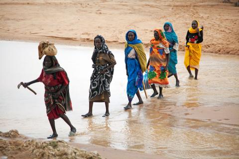 Master in Migration Studies